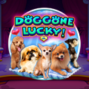 Doggone Lucky