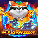 Ninja Raccoon
