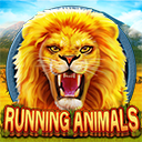 Running Animals