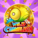 Wild Chameleon