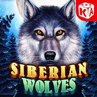 Siberian Wolves
