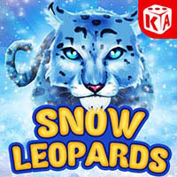 Snow Leopards