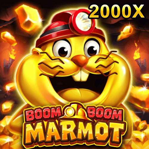 Boom Boom Marmot